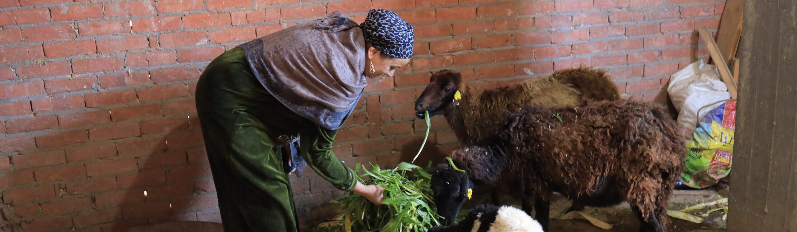 Micro-Farms